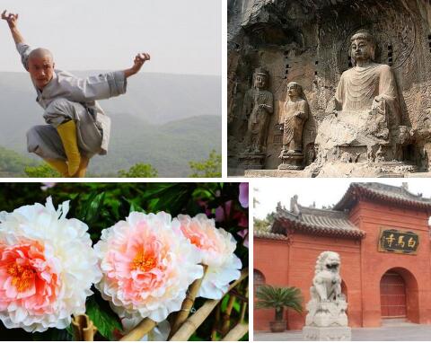 洛阳龙门石窟、白马寺、牡丹园、少林寺两日游