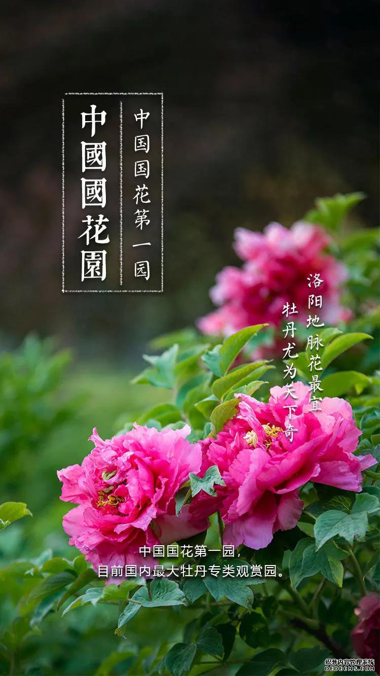 洛阳牡丹花会指南——洛阳景区大全